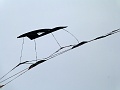 P1240433