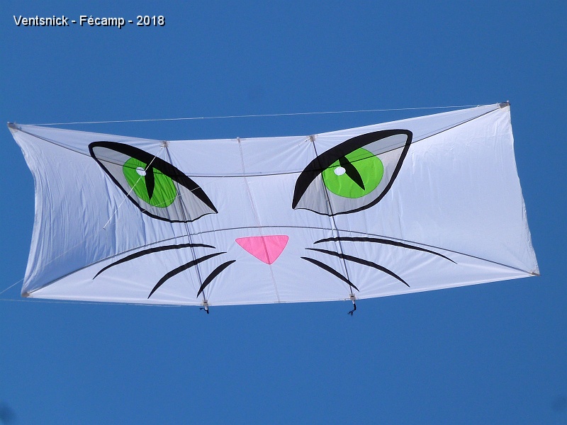 P1290831.jpg - Chat aux yeux verts de Ghislain Gondry (Poster kite) ...