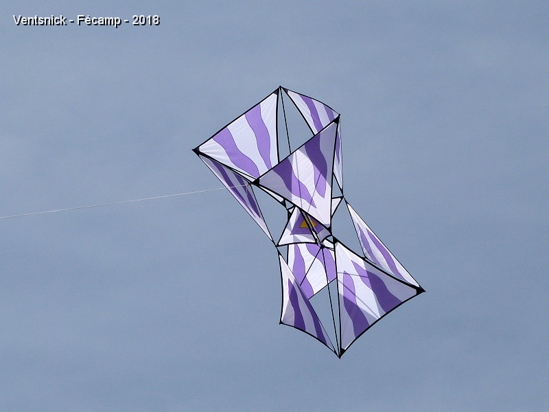 P1300031.jpg - ... un "Trigon-Box kite".