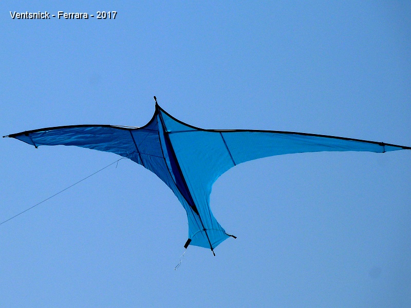 P1220860.JPG - Oiseau ultra light de Joël Lassey ...