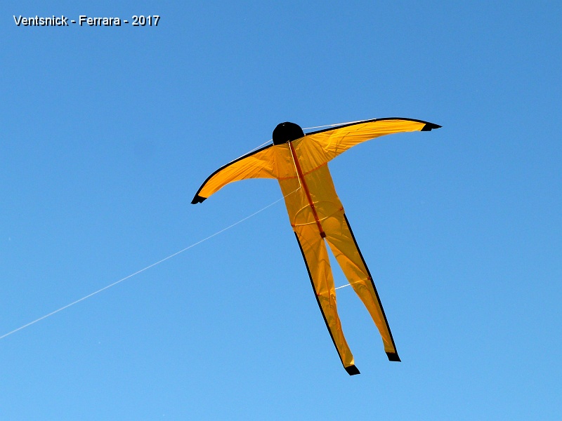 P1220914.JPG - ... et notre bonhomme s'élance dans les airs.