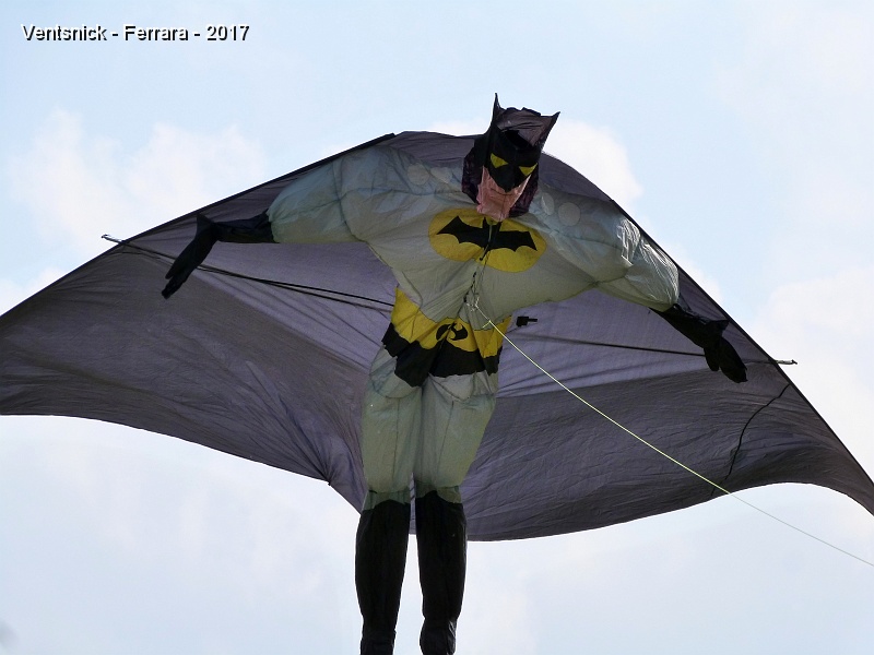 P1230187.jpg - ... son "Batman"  ...