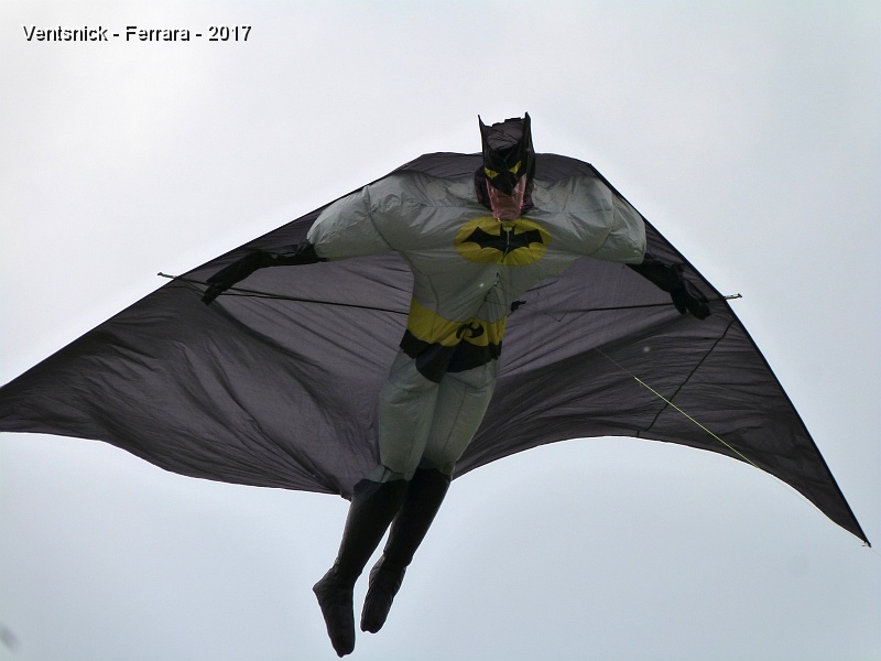 P1230213.jpg - ... batman ...