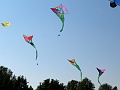 P1220939