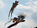 P1230081