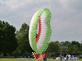 P1230084