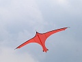 P1230162