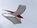 P1230216
