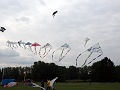 P4250205