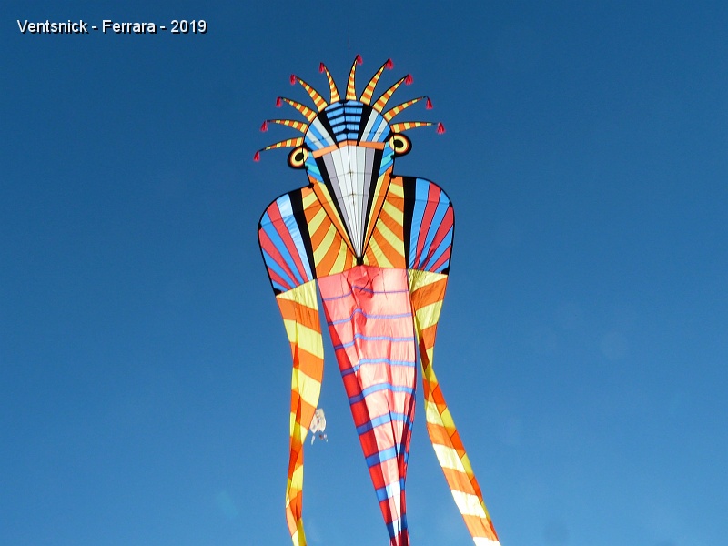 P1350487.JPG - Superbe cerf-volant d'Erich Binder ...