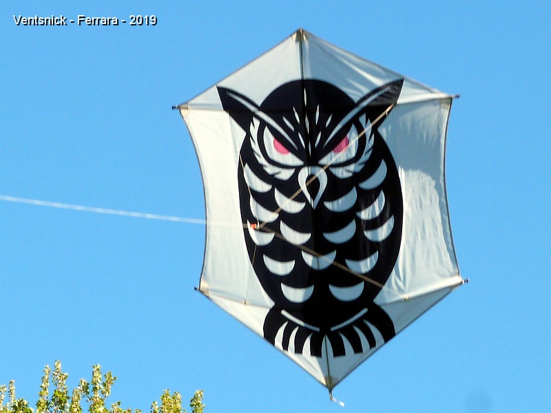 P1350523.JPG - Hibou de Hans Henghuber.