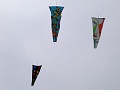 P1350318