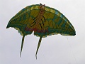 P1350363