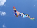 P1350406