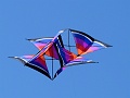 P1350409