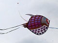 P1350335