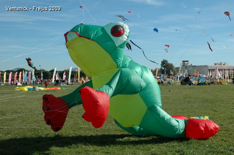 DSC_7819.JPG - Grenouille d'un club Allemand. (Photo JPS)