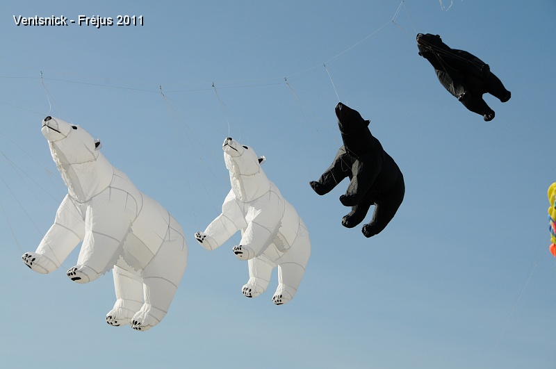 DSC_5933.jpg - Des ours très décoratifs sur cette ligne. (Photo JPS)