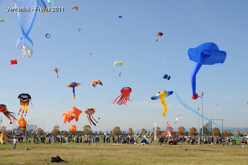 DSC_5956.jpg - Quel bonheur de décorer ainsi le ciel de Fréjus ! (Photo JPS)