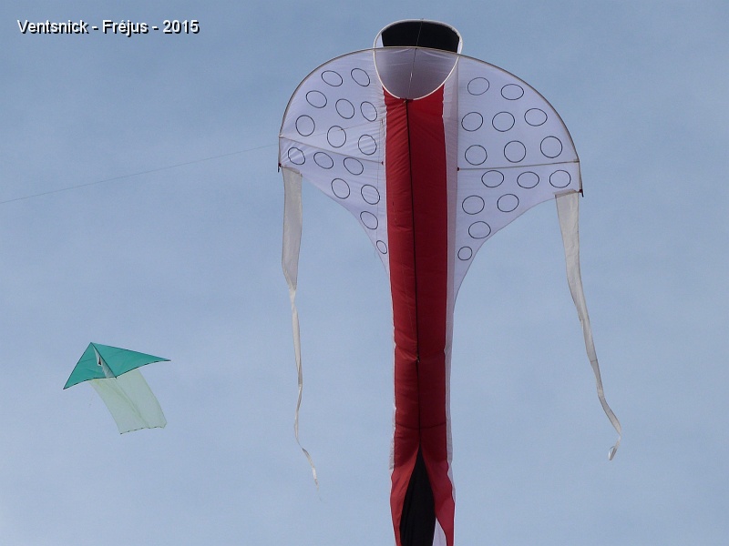 P1160827.JPG - ...