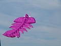 P1160721