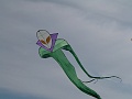 P1160723