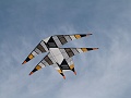 P1160729