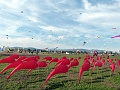 P1160734