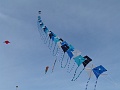 P1160805