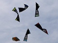 P1160889
