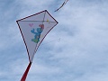 P1160899