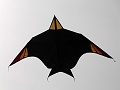 P1160916