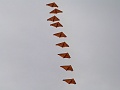 P1160923