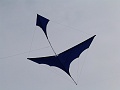 P1160926