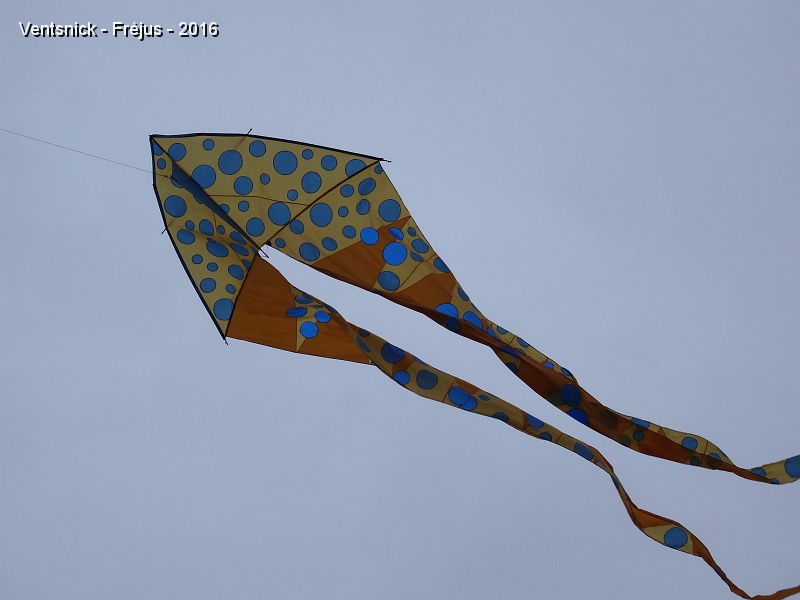DSC00797.JPG - ... notre Pétrus jaune prend lui aussi les airs.