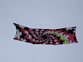 DSC00799