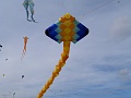 P1210924