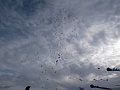 P1210930