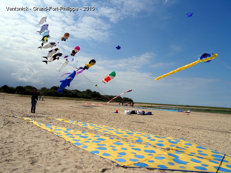 DSC00578.JPG - La plage se colorie progressivement ...