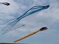 P1150462