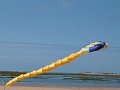 P1150485