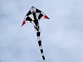 P1310141