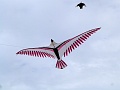 P1310188