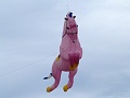 P1310200