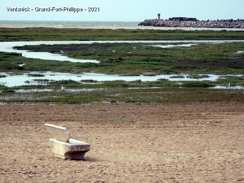 DSC06505.JPG - Les prés salés jouxtent le terrain de vol, un "Banc de sable" attend des passants, ...