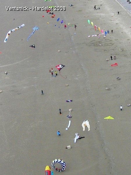 IMG_6877.JPG - Les décorations s'étalent sur la vaste plage.