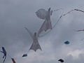 P1030094