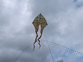 P1030097