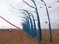 P1030174