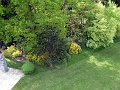 P1190254